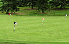 putting.green.flags